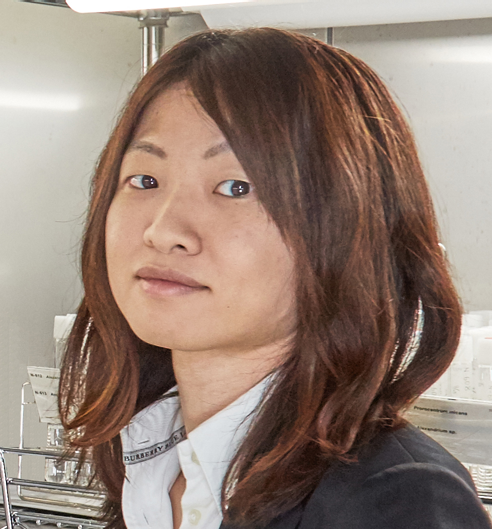 研究テーマpj2 2 気候変動適応研究プログラム 気候変動適応センター